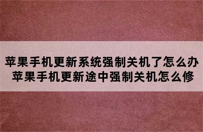 苹果手机更新系统强制关机了怎么办 苹果手机更新途中强制关机怎么修